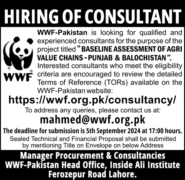 Consultant Opportunities