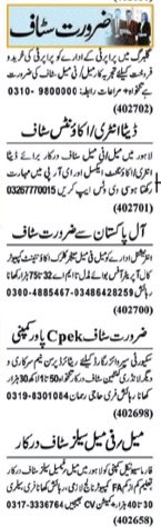 Data Entry Operator and Accounts Staff