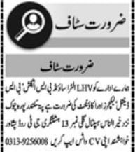 English Lecturer and Accountant Jobs in Peshawar 2024
