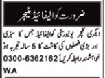 Manager Job Opportunities.