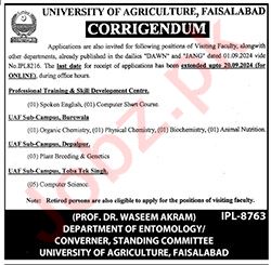 University of Agriculture (UAF) Faisalabad Job Opportunities