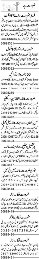 English Teacher and Accountant Job Opportunities